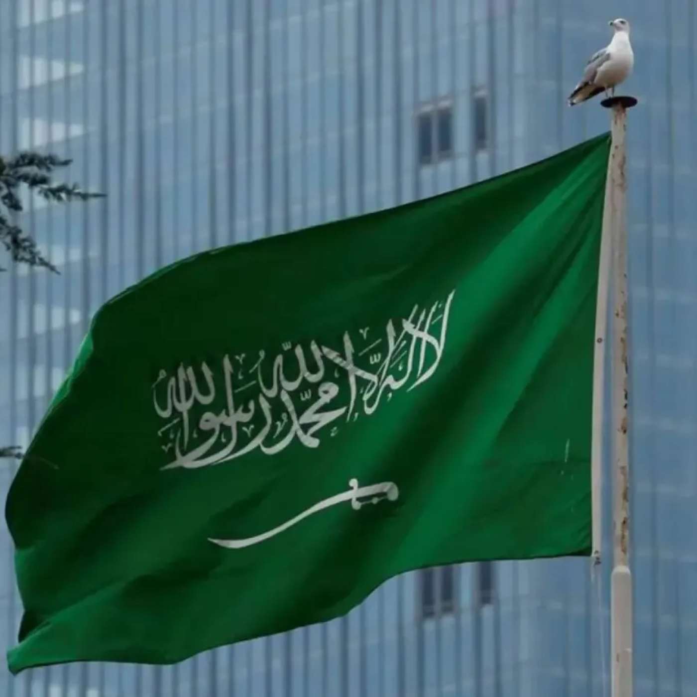 India Harnesses AI to Power Grids, Respiree Expands AI Toolbox Worldwide, AI SHIELD Detects 99.8% Deepfakes, Saudi AI Drive Leaders Global, and more...