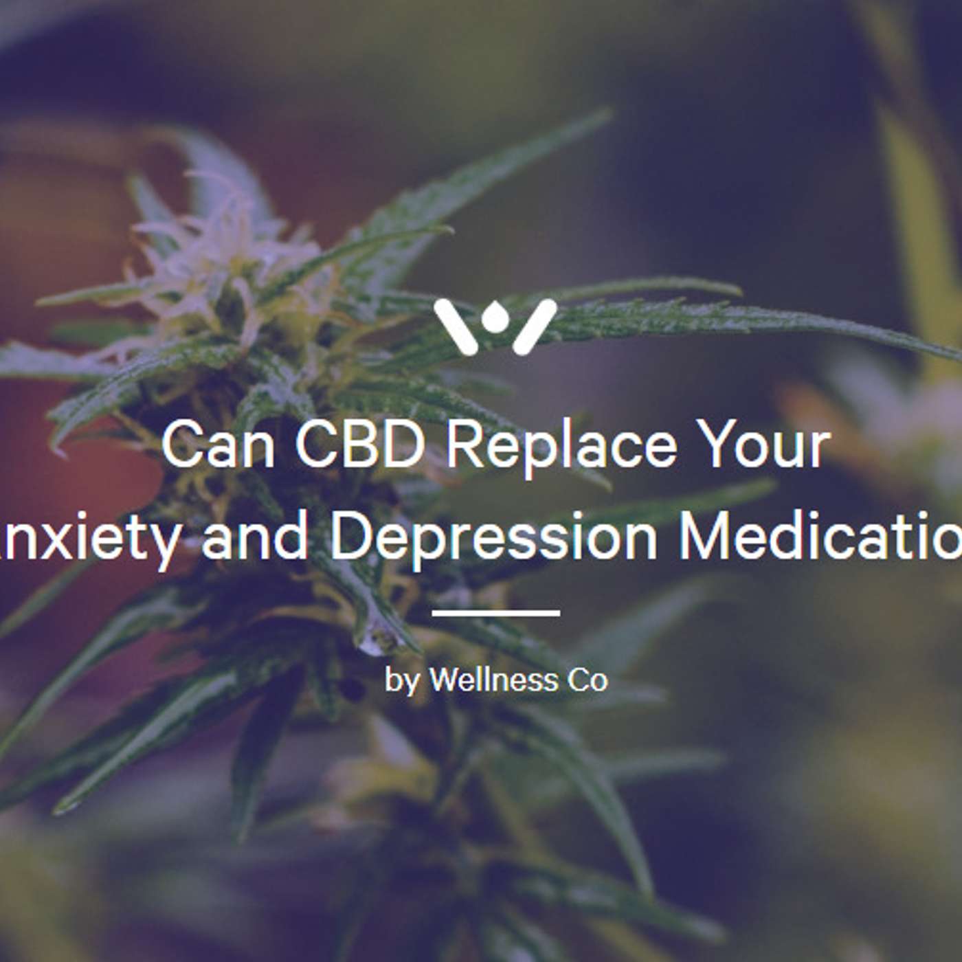 Can CBD Replace Your
Anxiety and Depression Medication?