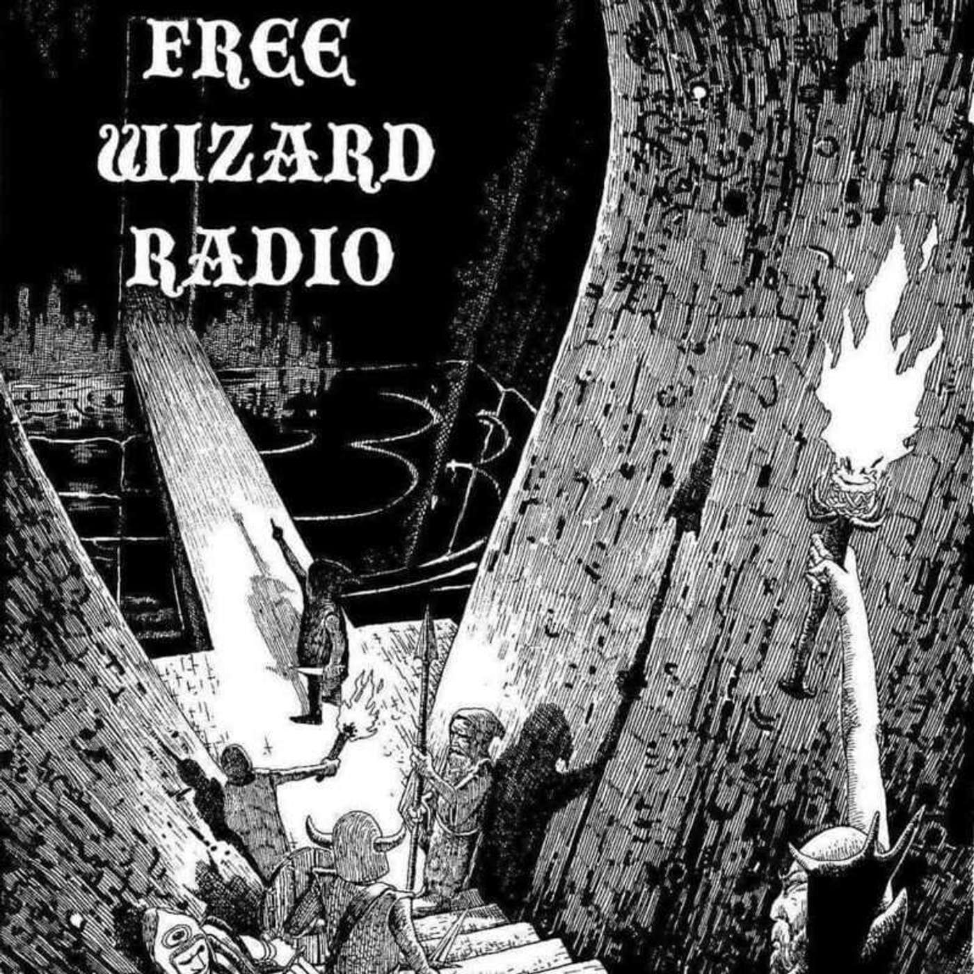 Free Wizard Radio: The RETURN w/ DJ Ryan the Plaid episode artwork