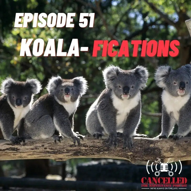 Koala-fications