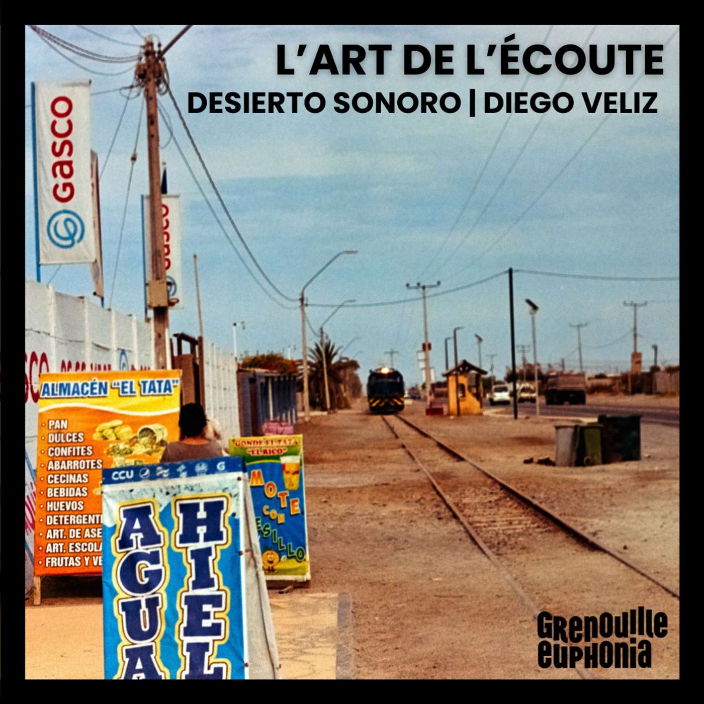 L'Art de l'écoute | Desierto Sonoro - rencontre avec Diego Veliz