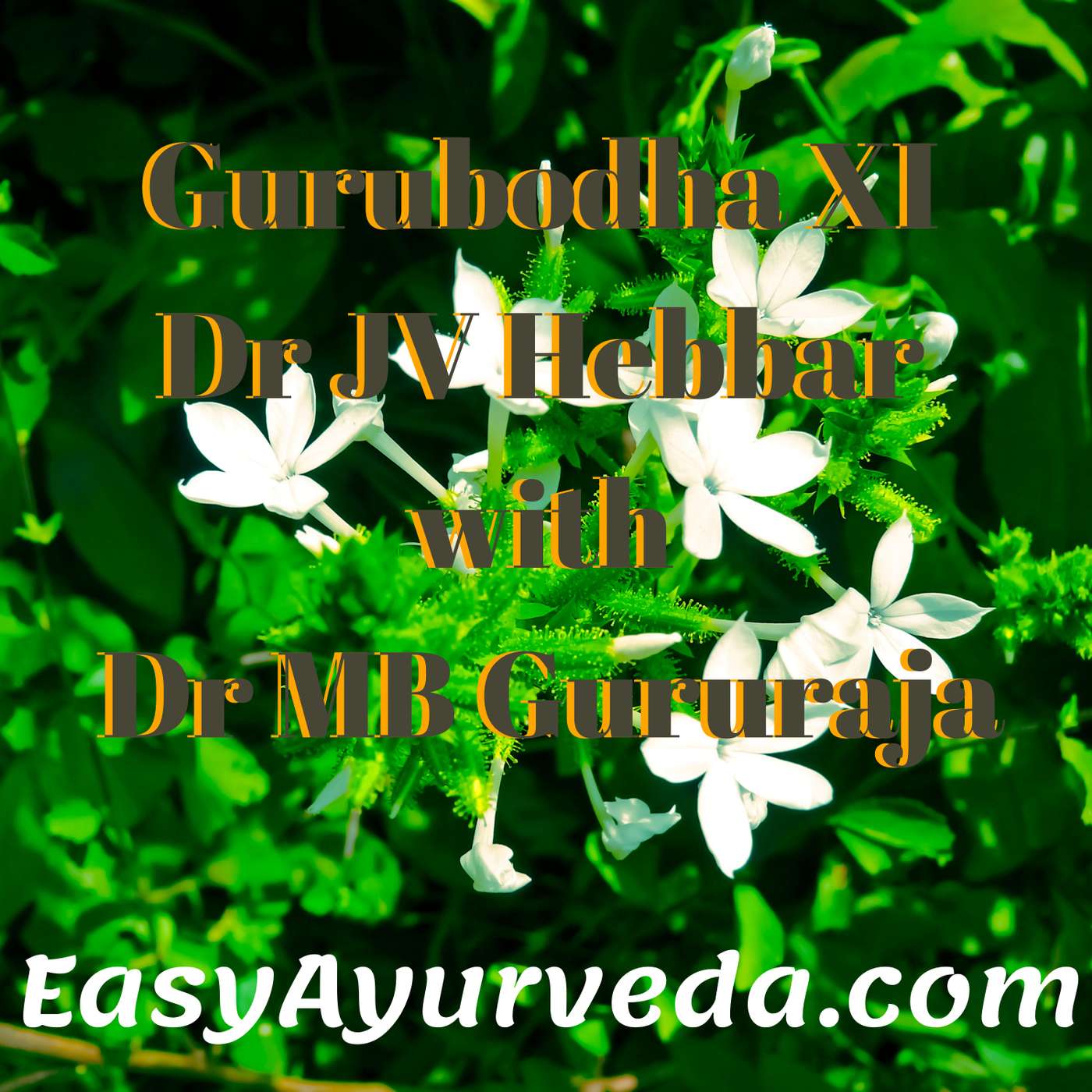 Gurubodha 11 Chitraka (Leadwort) Uses, Side Effects, Precautions | Convincing Clients About Ayurvedic Treatment episode artwork