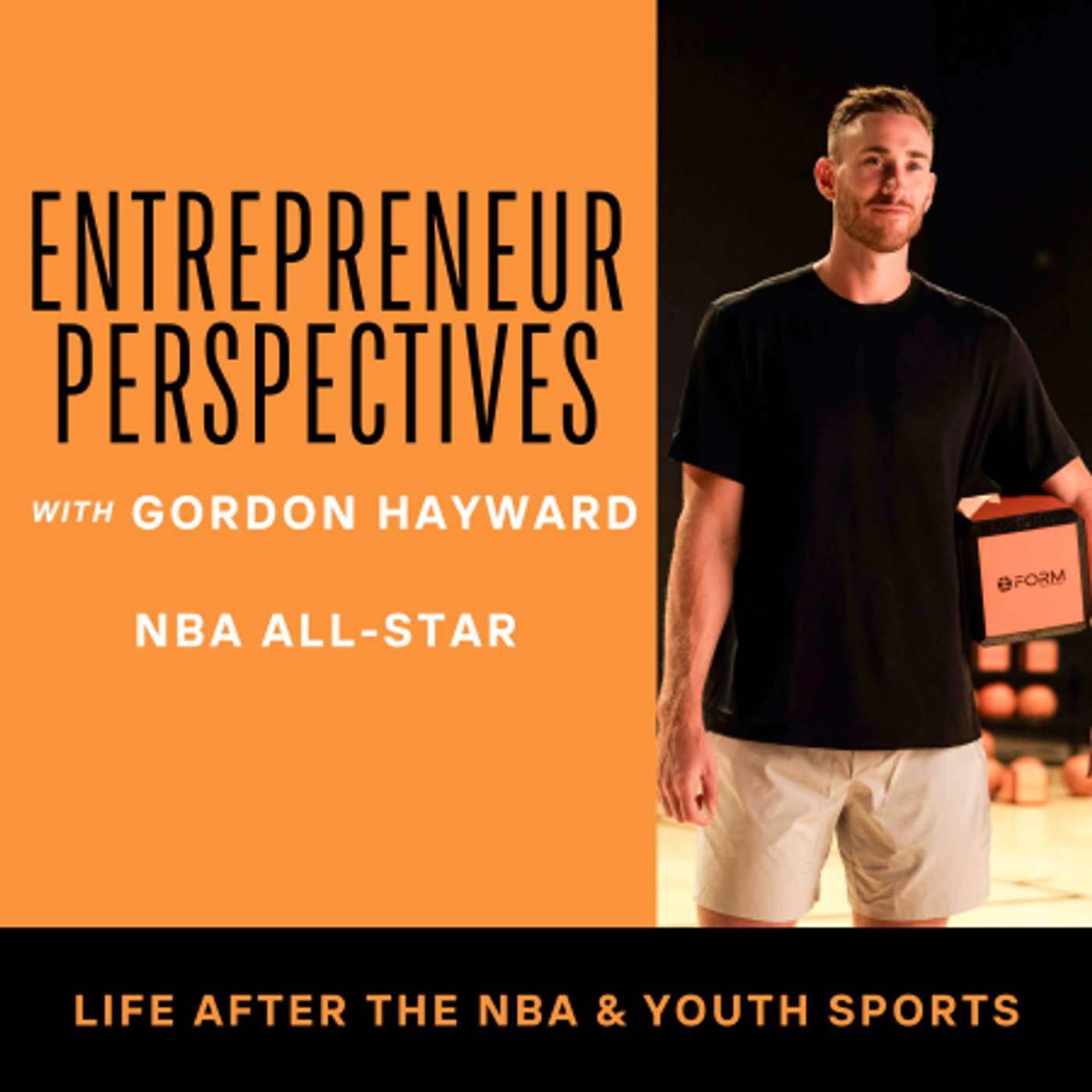 Entrepreneur Perspectives