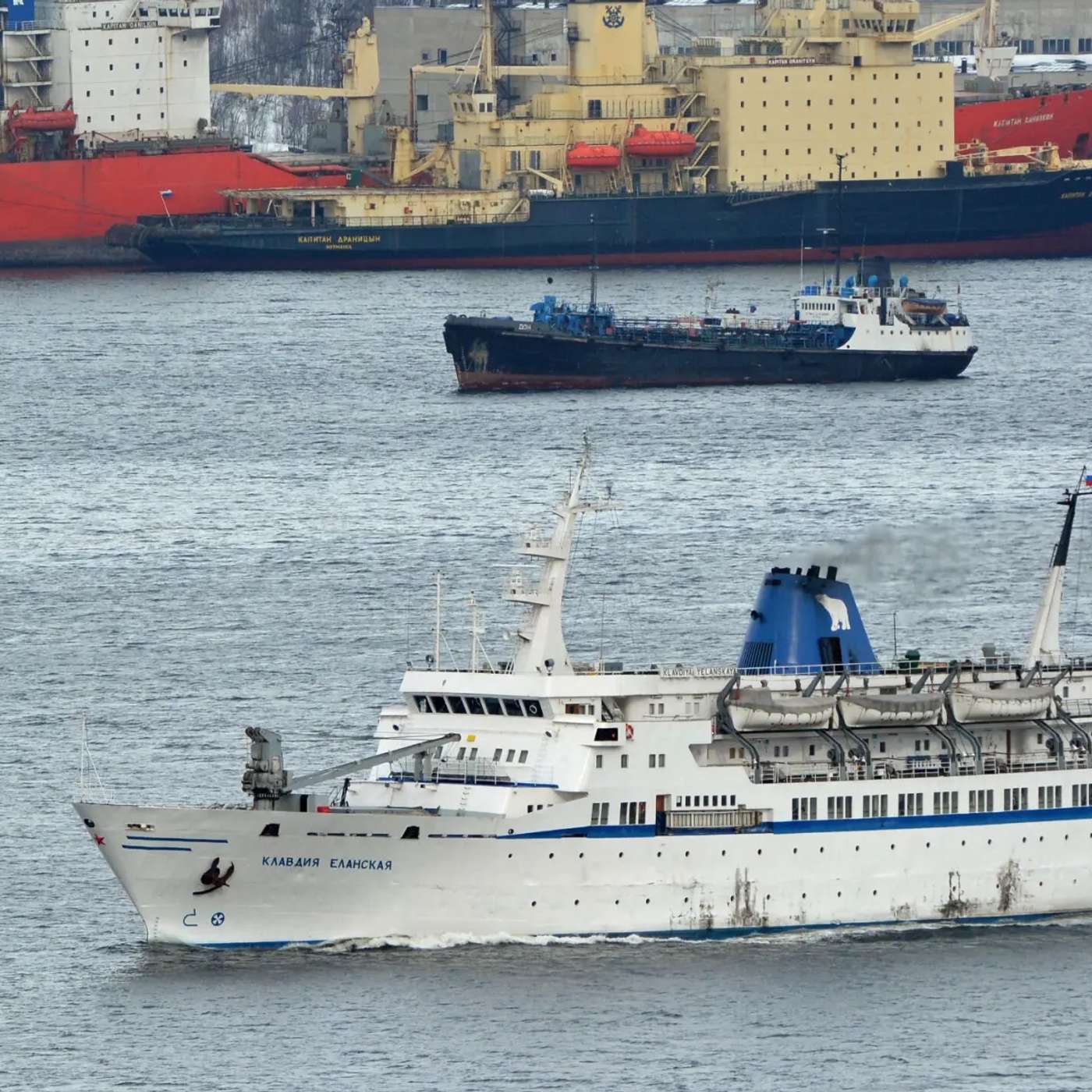 «Мурманское морское пароходство» купила рязанская компания