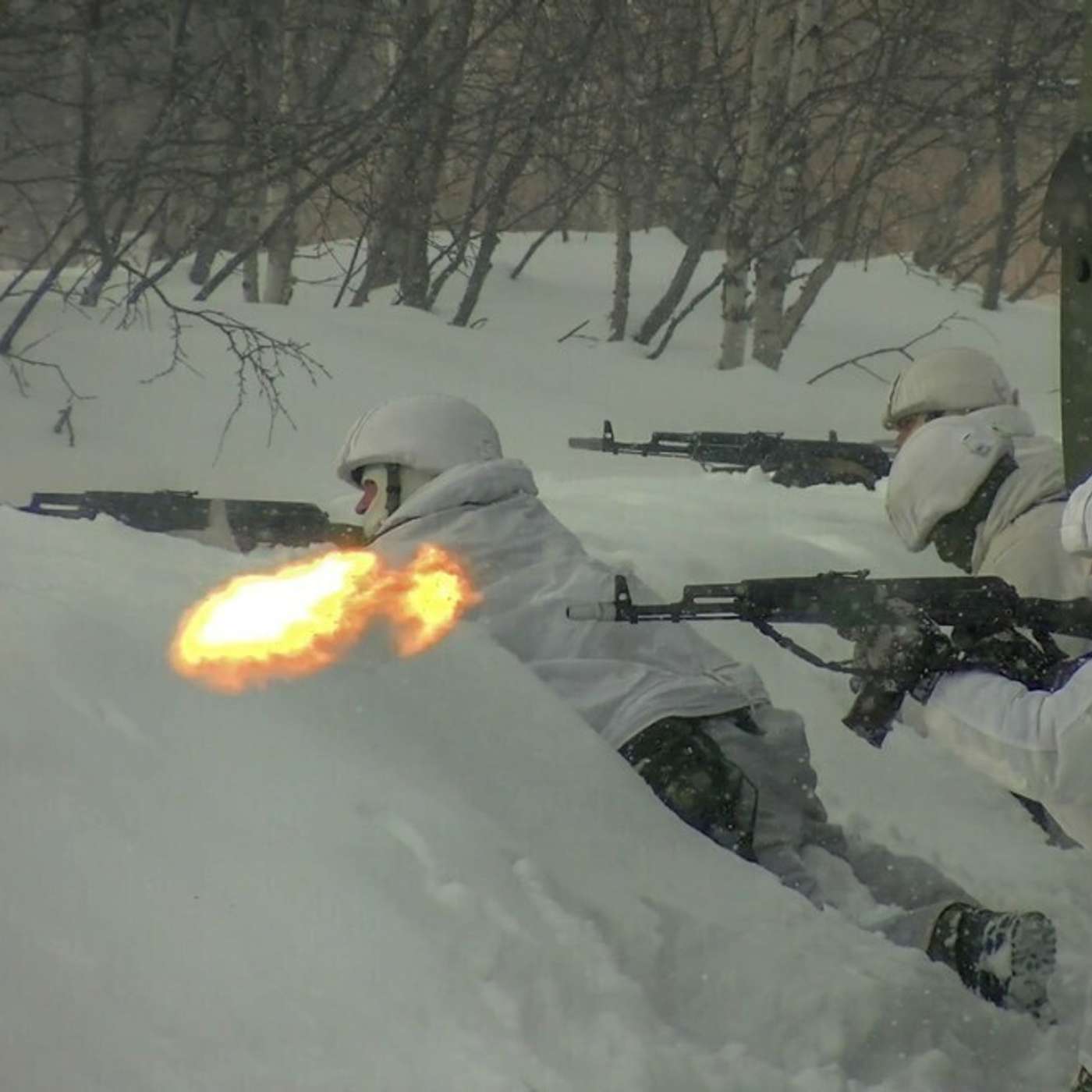Норвежская разведка: наземные силы на Кольском полуострове сократились в пять раз