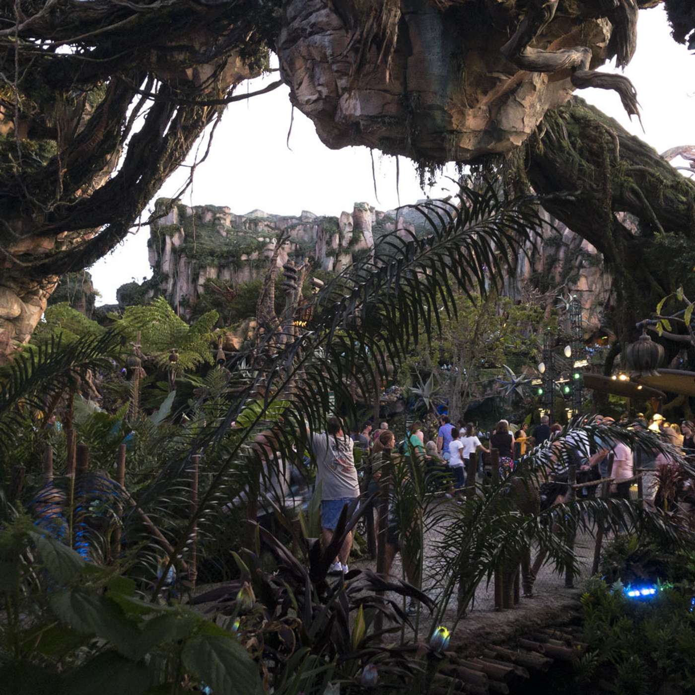 Episode 125: Discovering Animal Kingdom Pandora episode artwork