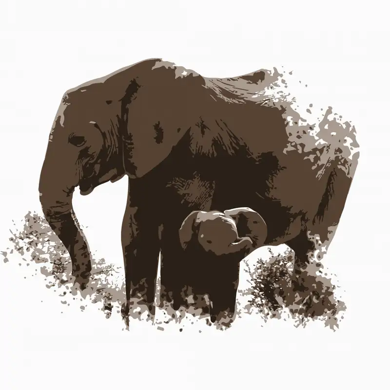 E1: Boundary Objects