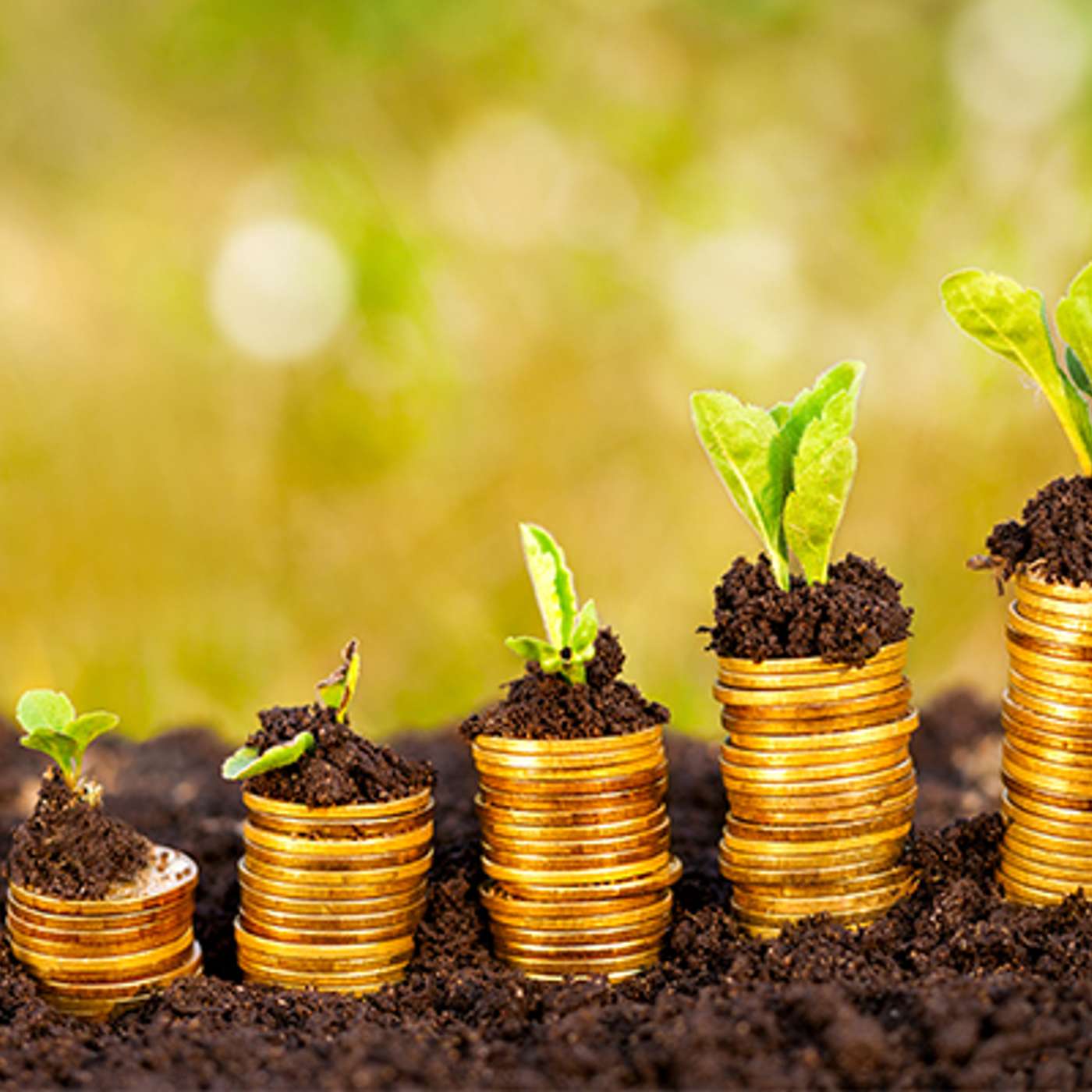 Managing Cash, Costs and Volatility - Preparing for 2026