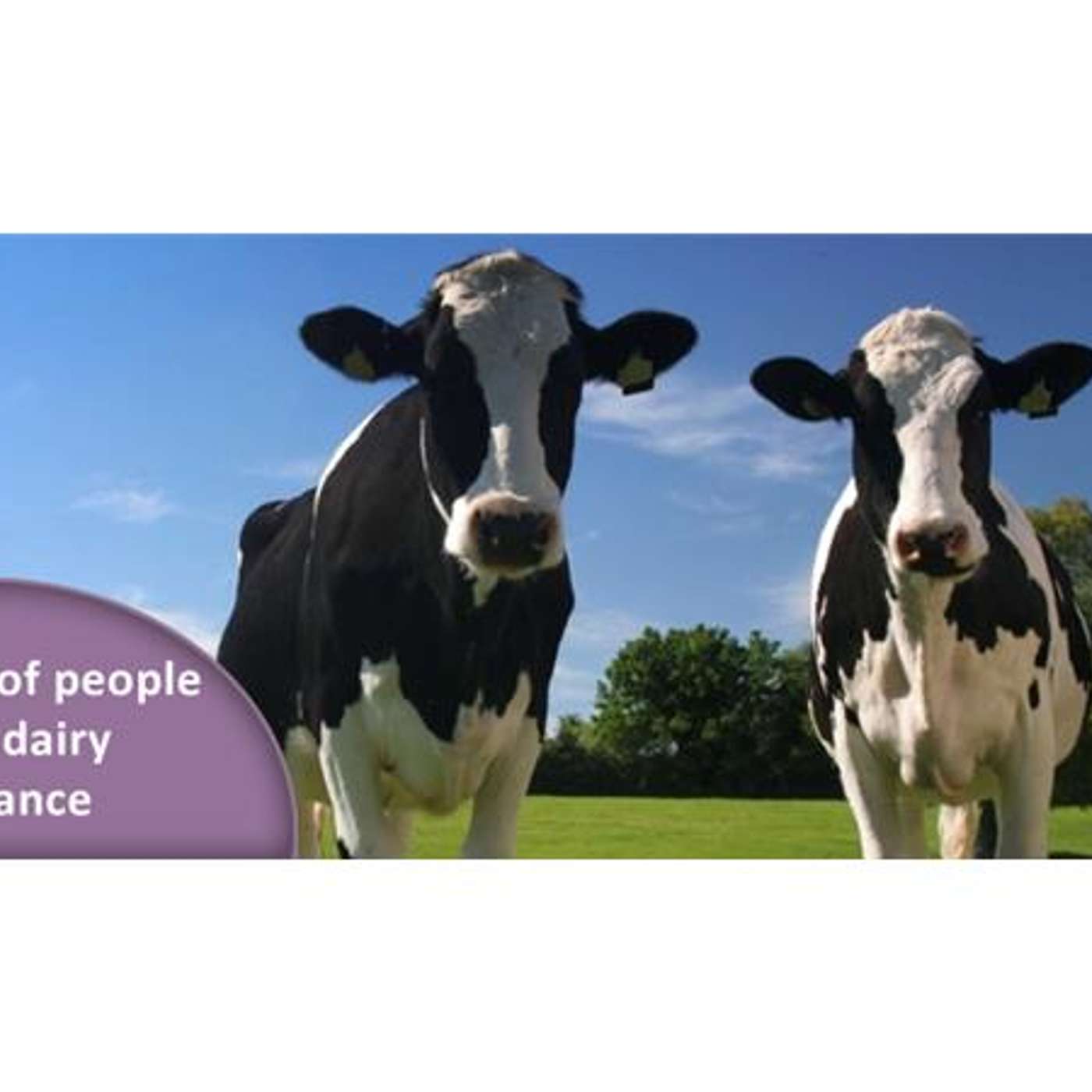 Gluten or Lactose Intolerant? Getting to the Real Root of Your Food Intolerances episode artwork