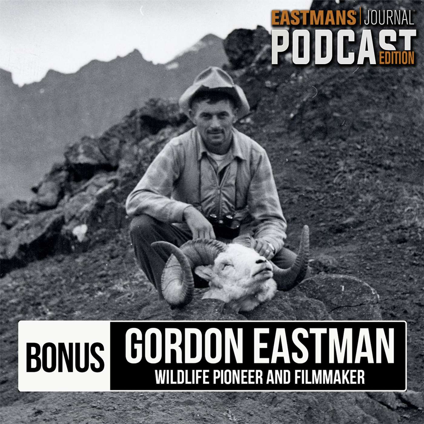 The Eastmans' Family History - Filming Wild Sheep (Bonus Episode) episode artwork