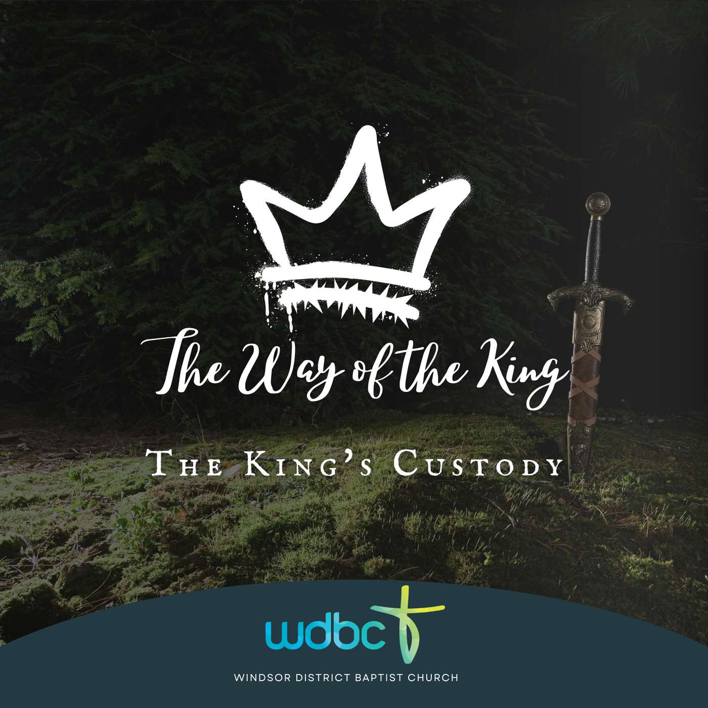 The Way of the King #11 | The King's Custody episode artwork
