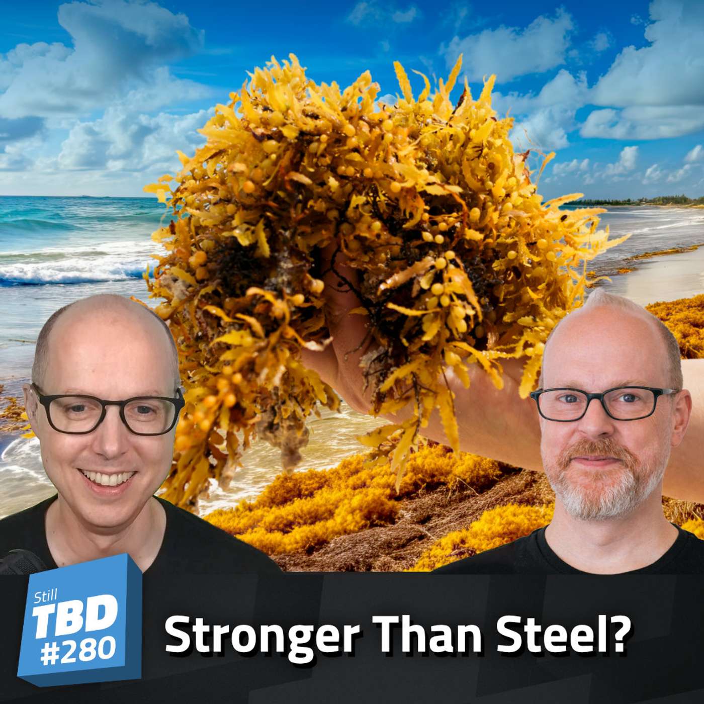 280: Seaweed? More like See Opportunities! 280: Seaweed? More like See Opportunities!