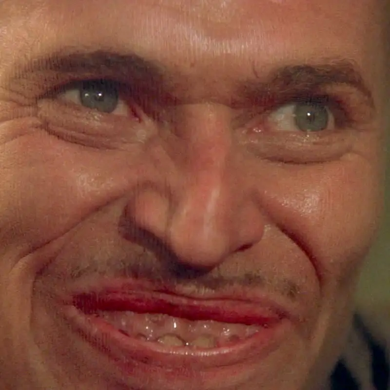 Pick Six Movies: S25E06:Wild at Heart