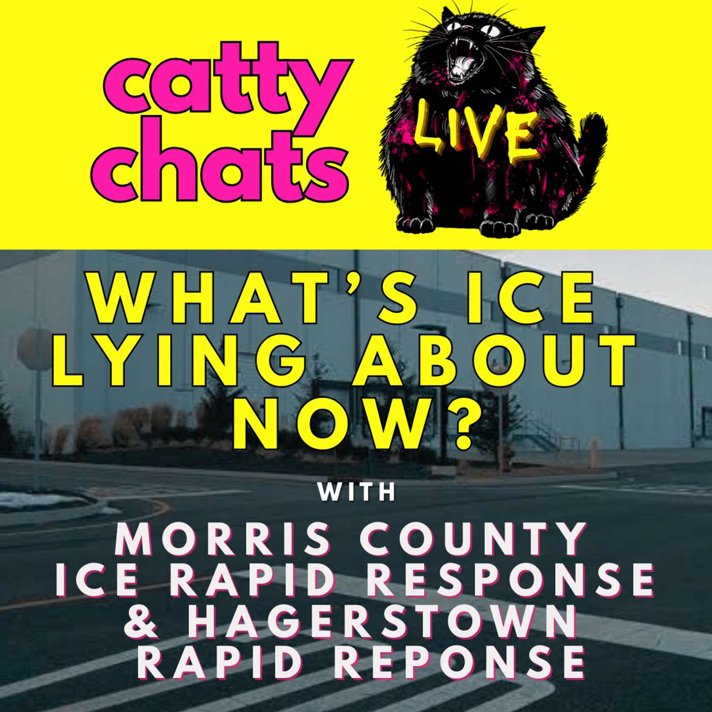 What's ICE Lying About Now? episode artwork