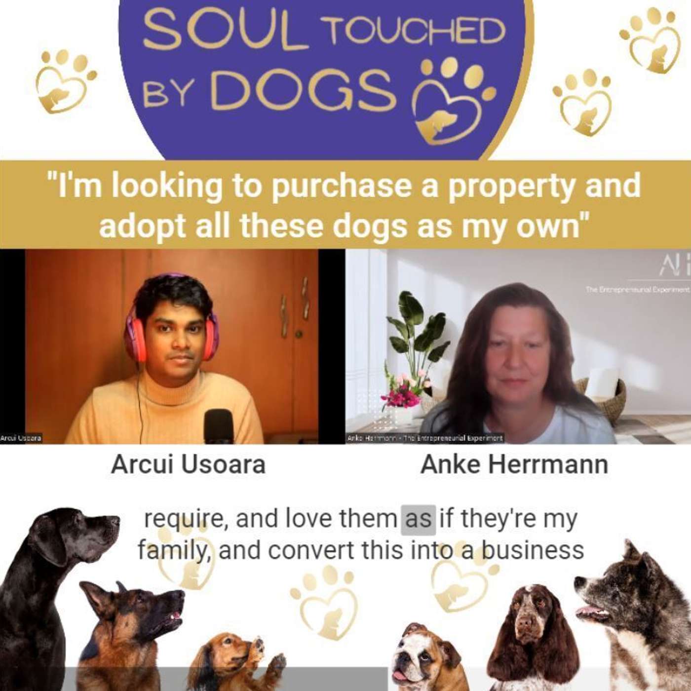 Soul Touched by Dogs