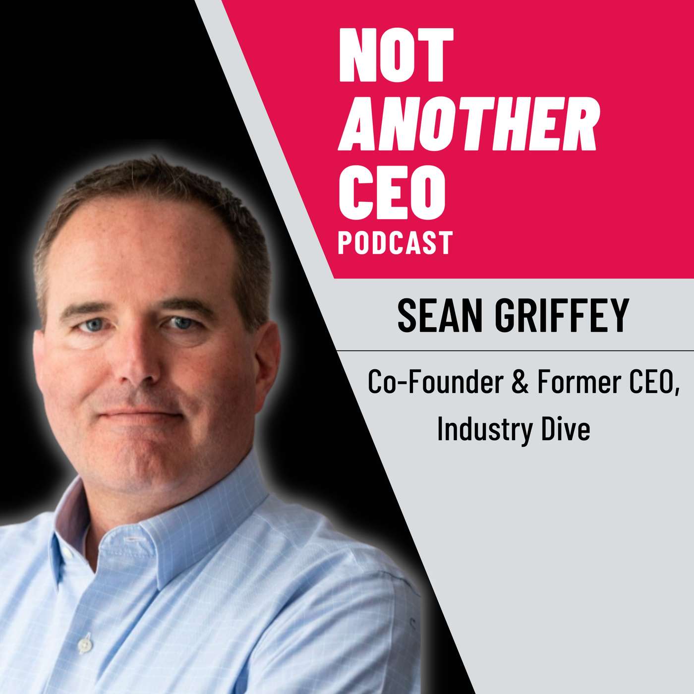 Not Another CEO Podcast