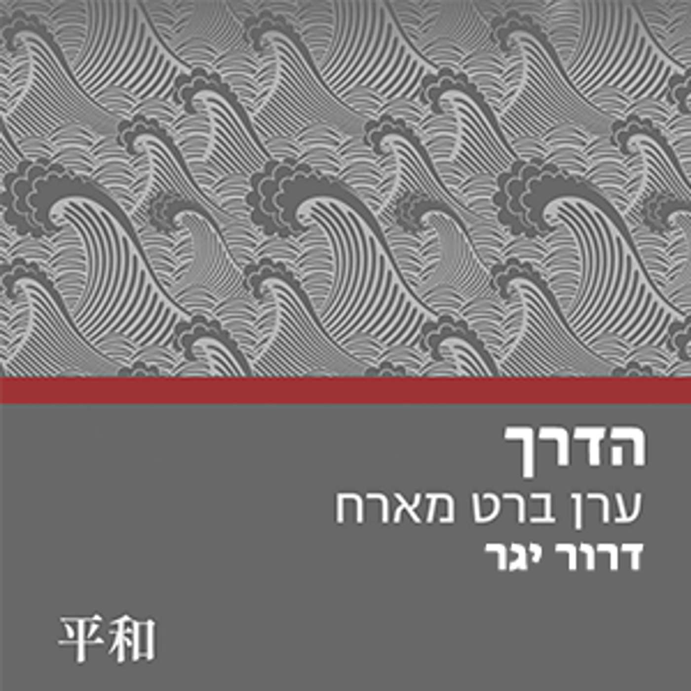 הדרך #9 - כשעסקים פוגשים לחימה || דרור יגר episode artwork