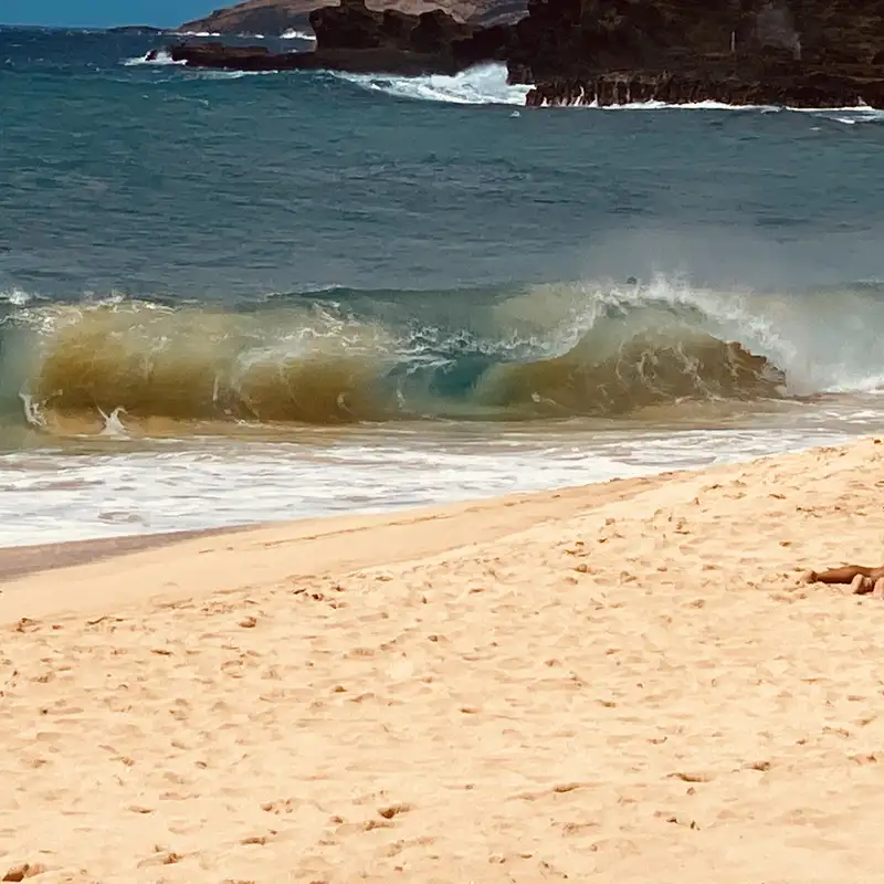 Held at Gunpoint: Beauty, Madness & the American Circus