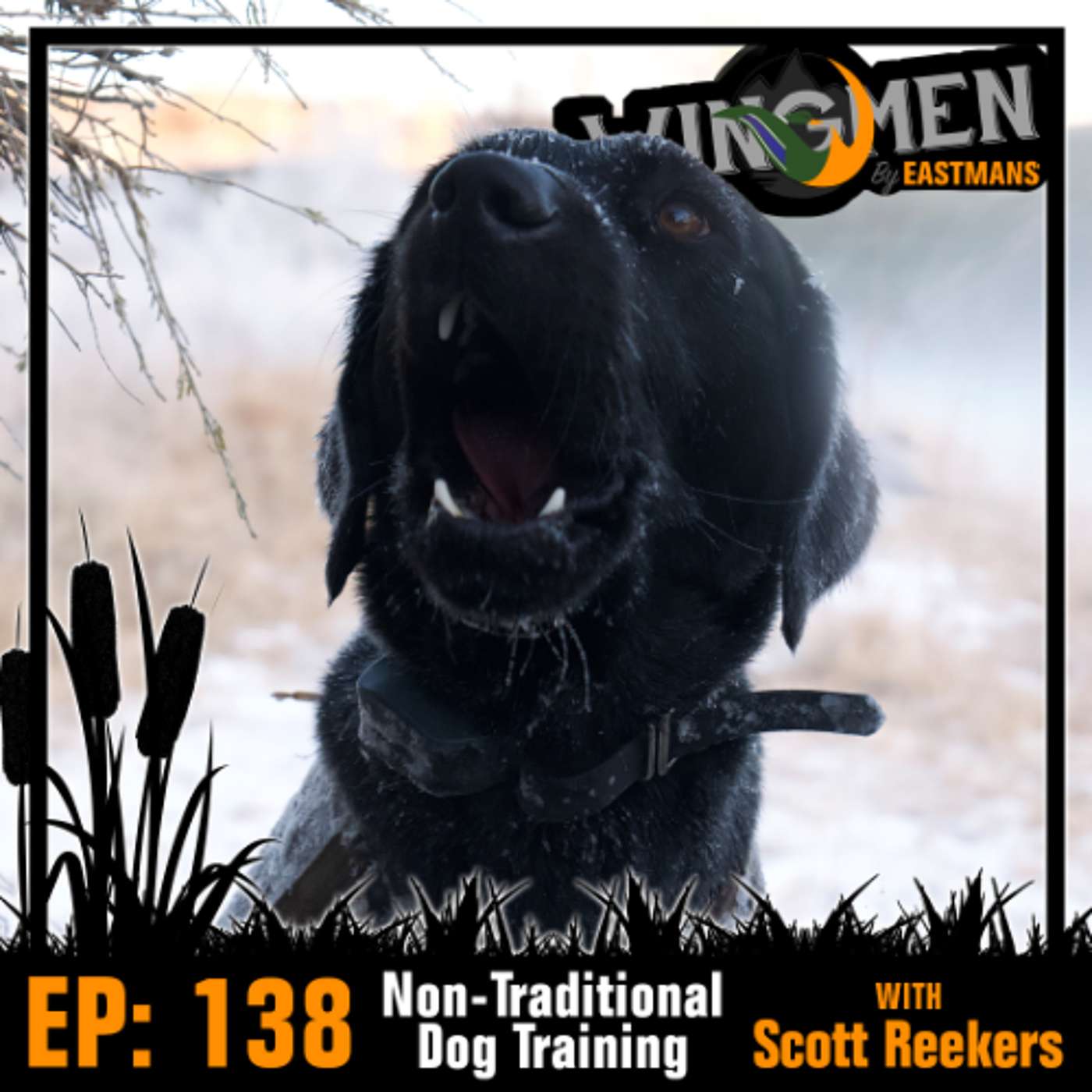 Wingmen EP 138: Non-Traditional Dog Training with Todd Helms episode artwork
