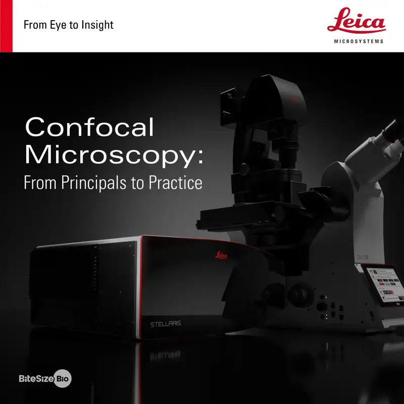 Why Choosing a Confocal Microscope Is Harder Than It Looks