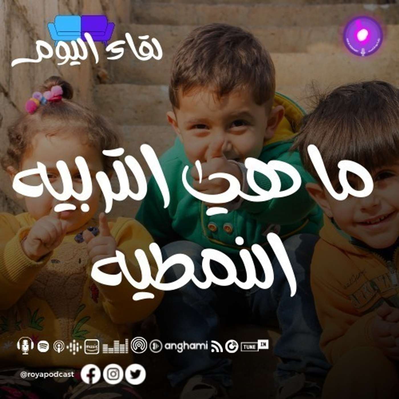 ما هي التربية النمطية؟