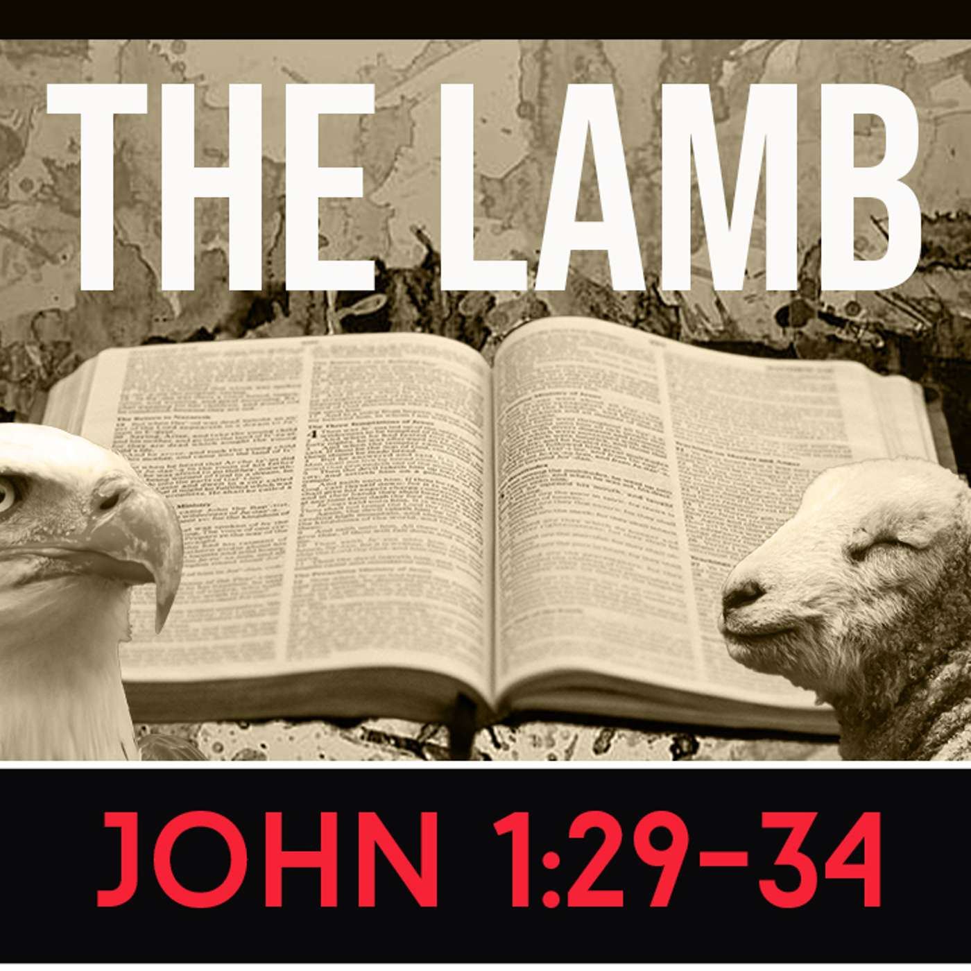 The Lamb Who Takes Away Sin episode artwork