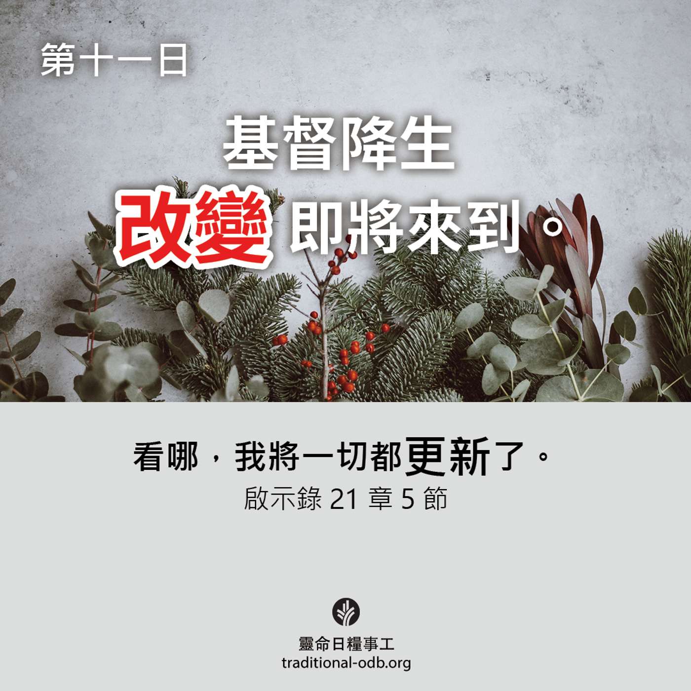 將臨期12天靈修計劃-《聖善夜》第11日 《聖誕鐘聲》的第七節