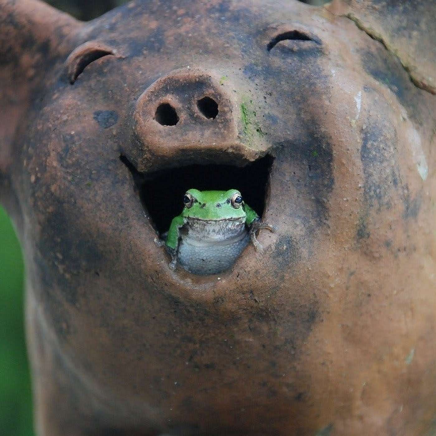 Nature and Science 4 Kids