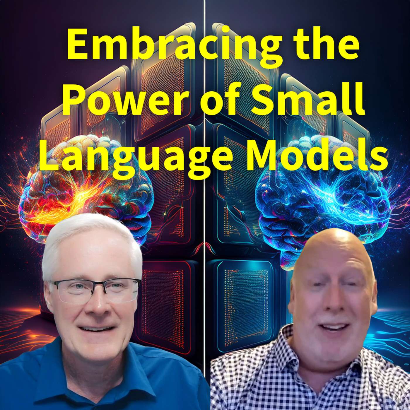 #279 Embracing the Power of Small Language Models