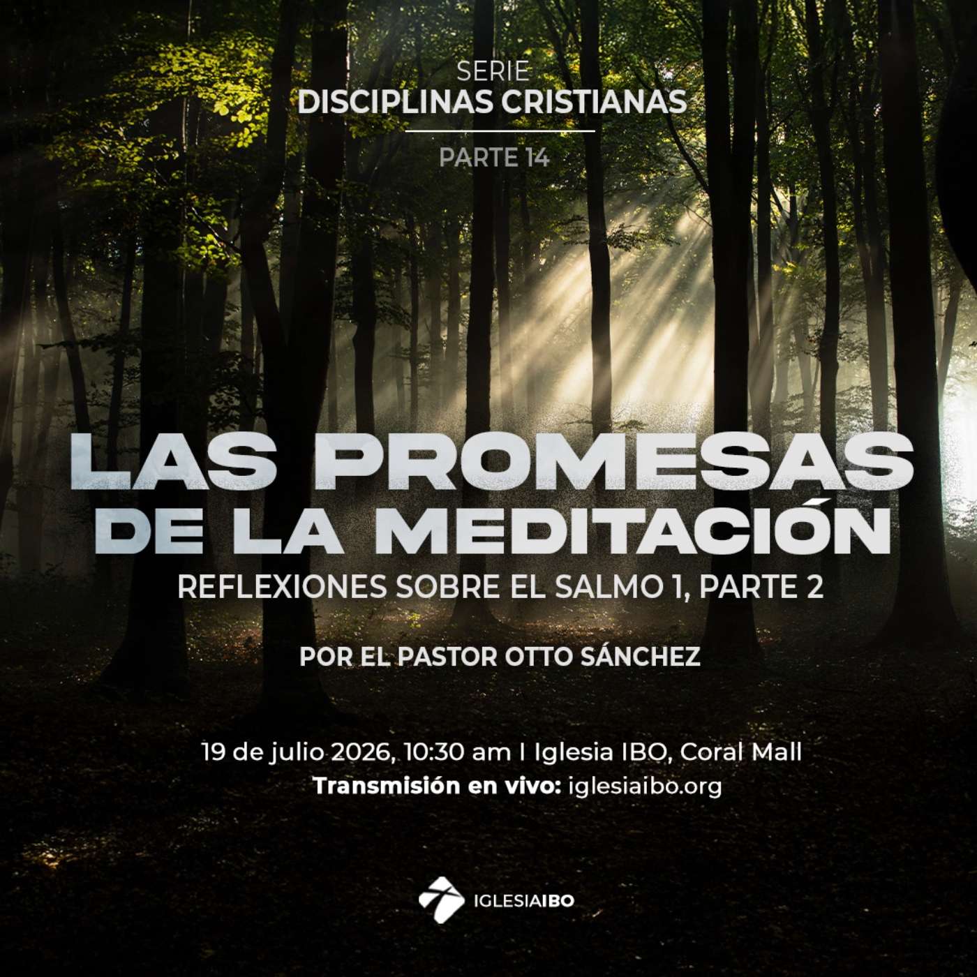 Las promesas de la meditación - Parte 2