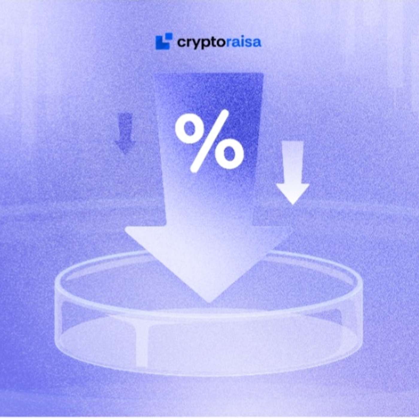 Cryptoraisa Announces Cut to Interest Rates in Exchange Pools