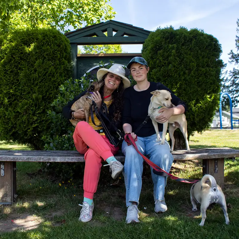 Local ElderDog group in need of volunteers to bring support and connections for seniors and their dogs