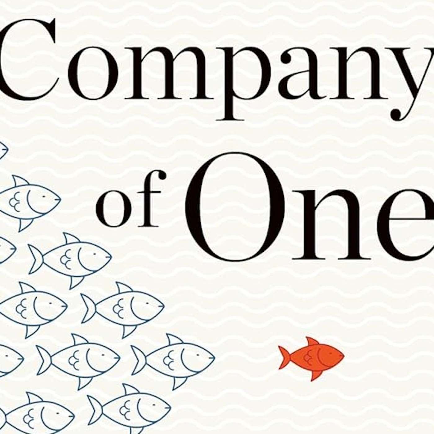 #56 一人公司 Company of One：为什么小而美是未来企业发展的趋势｜小麦读书💡