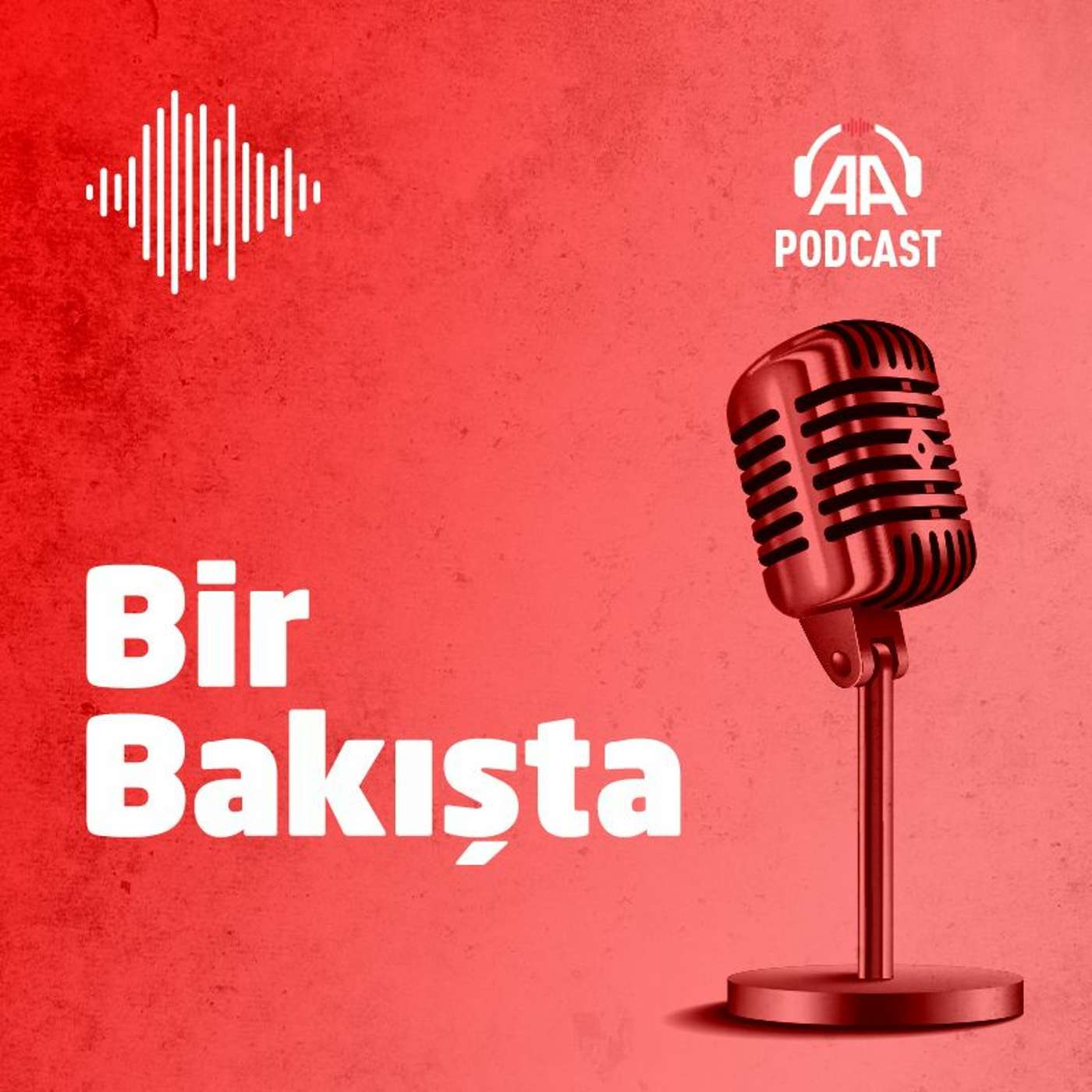 Analiz ve görüşler