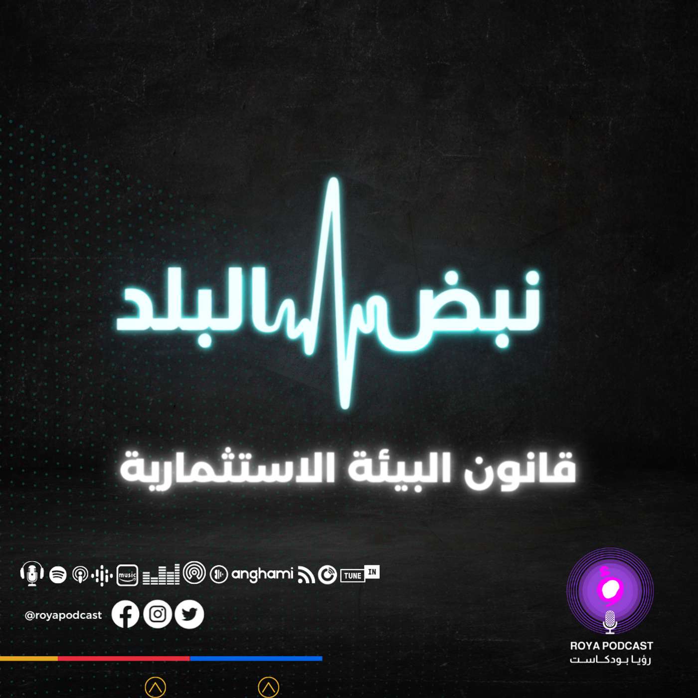 قانون البيئة الاستثمارية