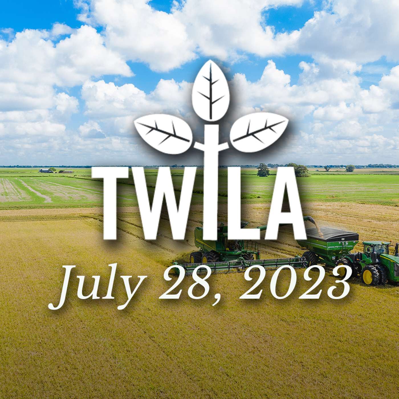 TWILA 7-28-23 episode artwork