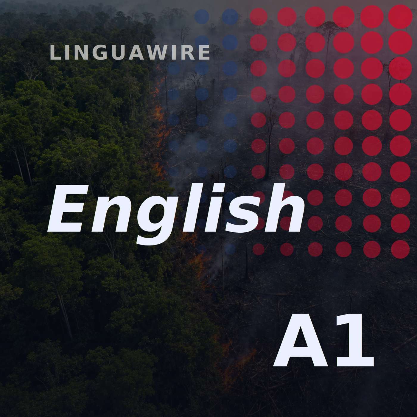 A1 English News | Brazil's Amazon Burns Far Less in 2025