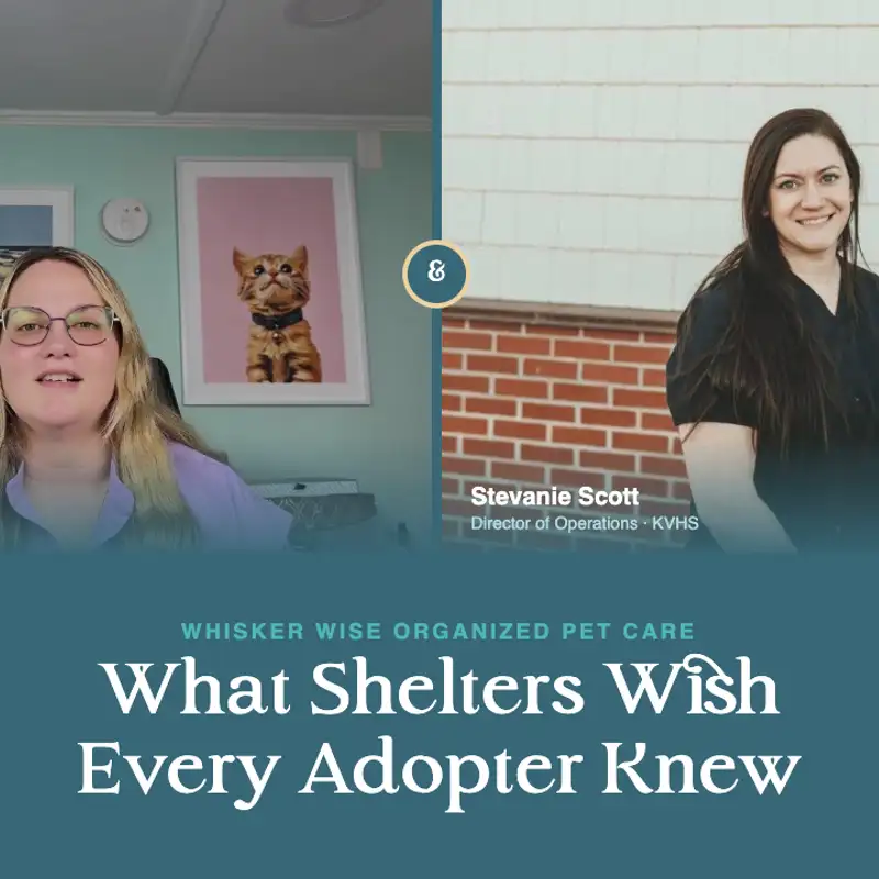 What Shelters Wish Every Adopter Knew