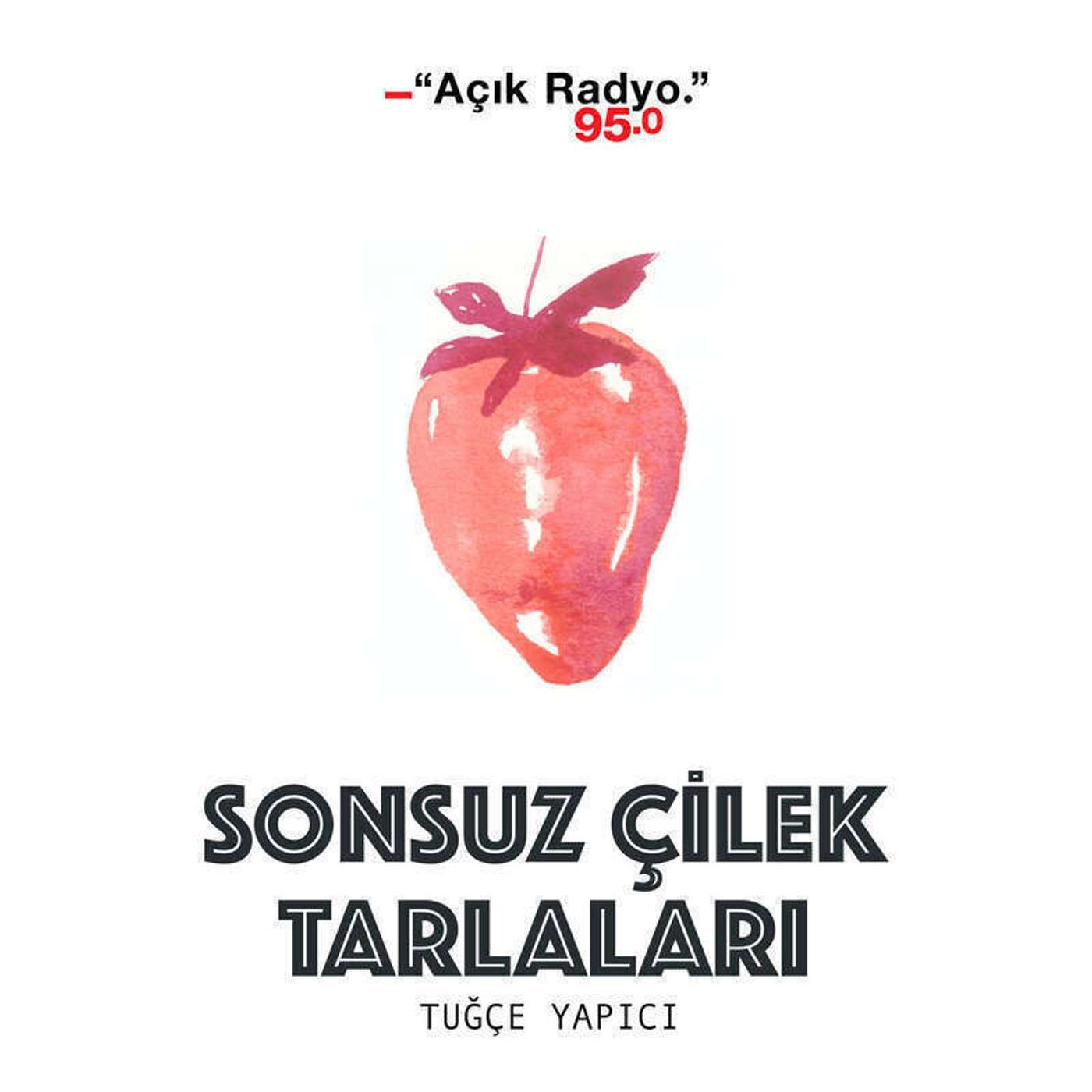 Ozan Sarohan ile söyleşi episode artwork