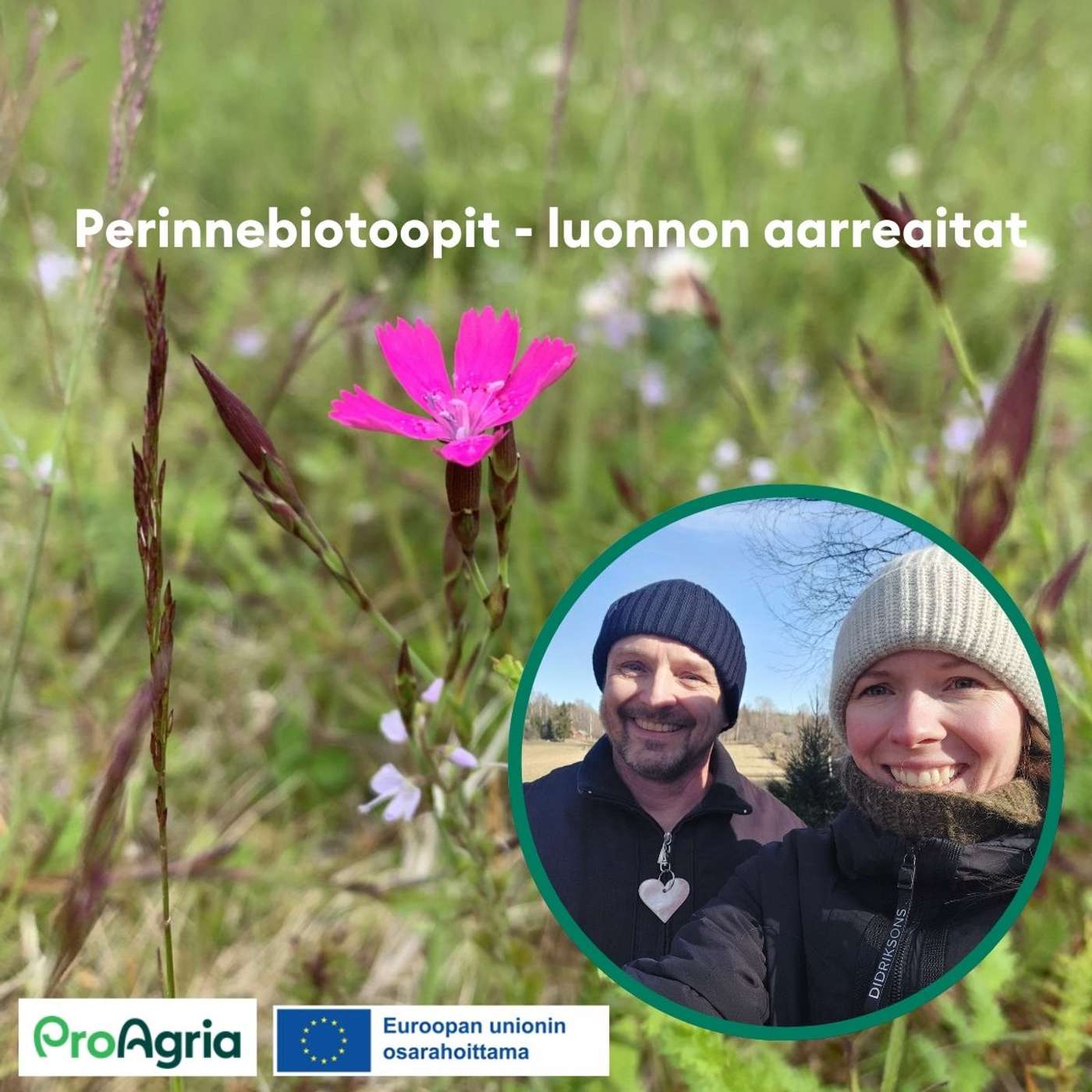 3. Perinnebiotoopit - luonnon aarreaitat episode artwork