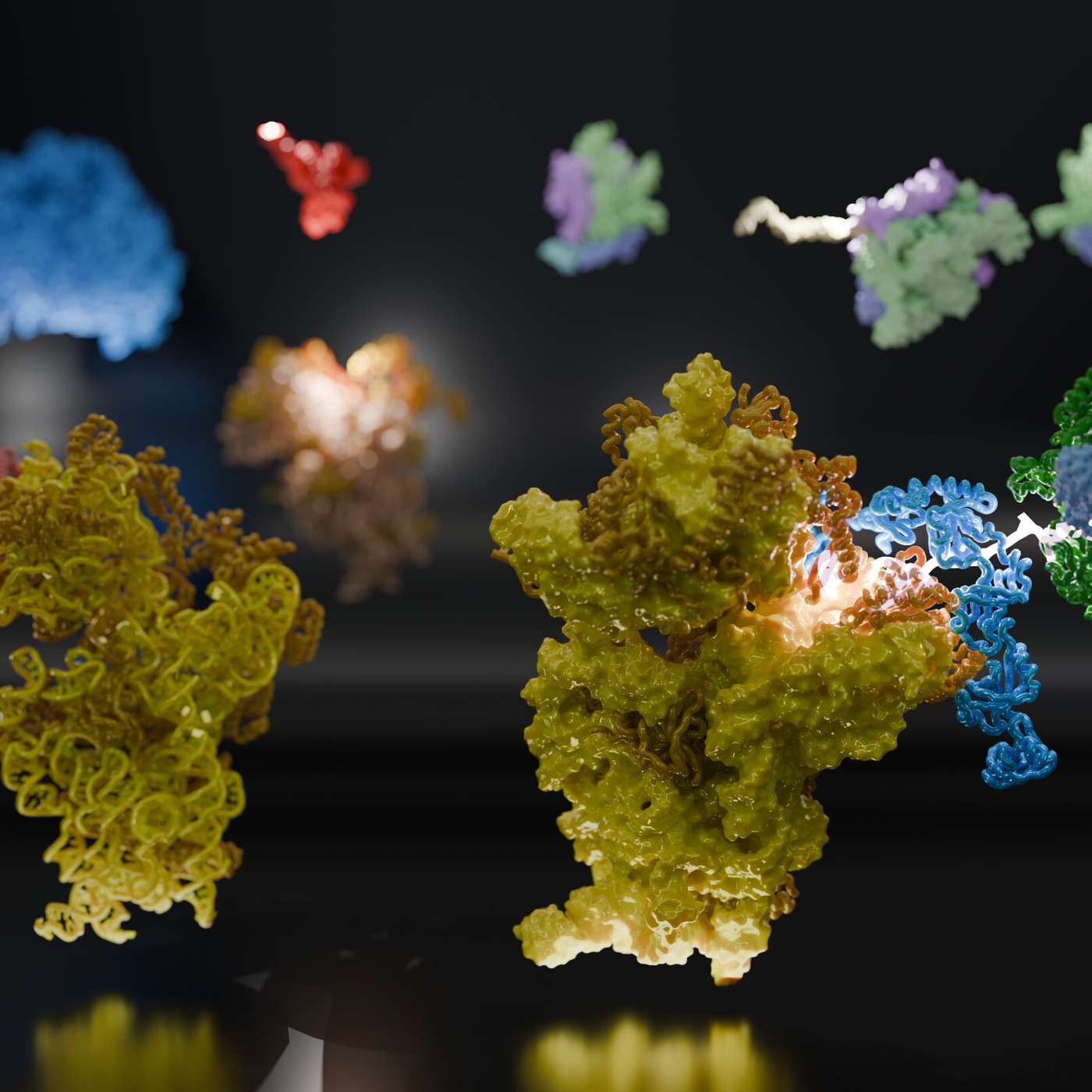 Orcas Team Up to Hunt, Sea Anemone Redefines Regeneration, Study Unveils Ribosome Mechanism, Breakthrough in Chronic Disease Treatment, and more...