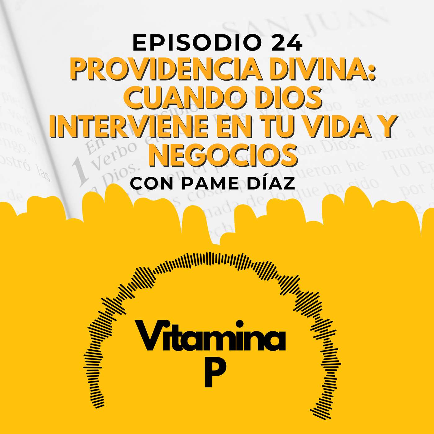 Portada de Vitamina P
