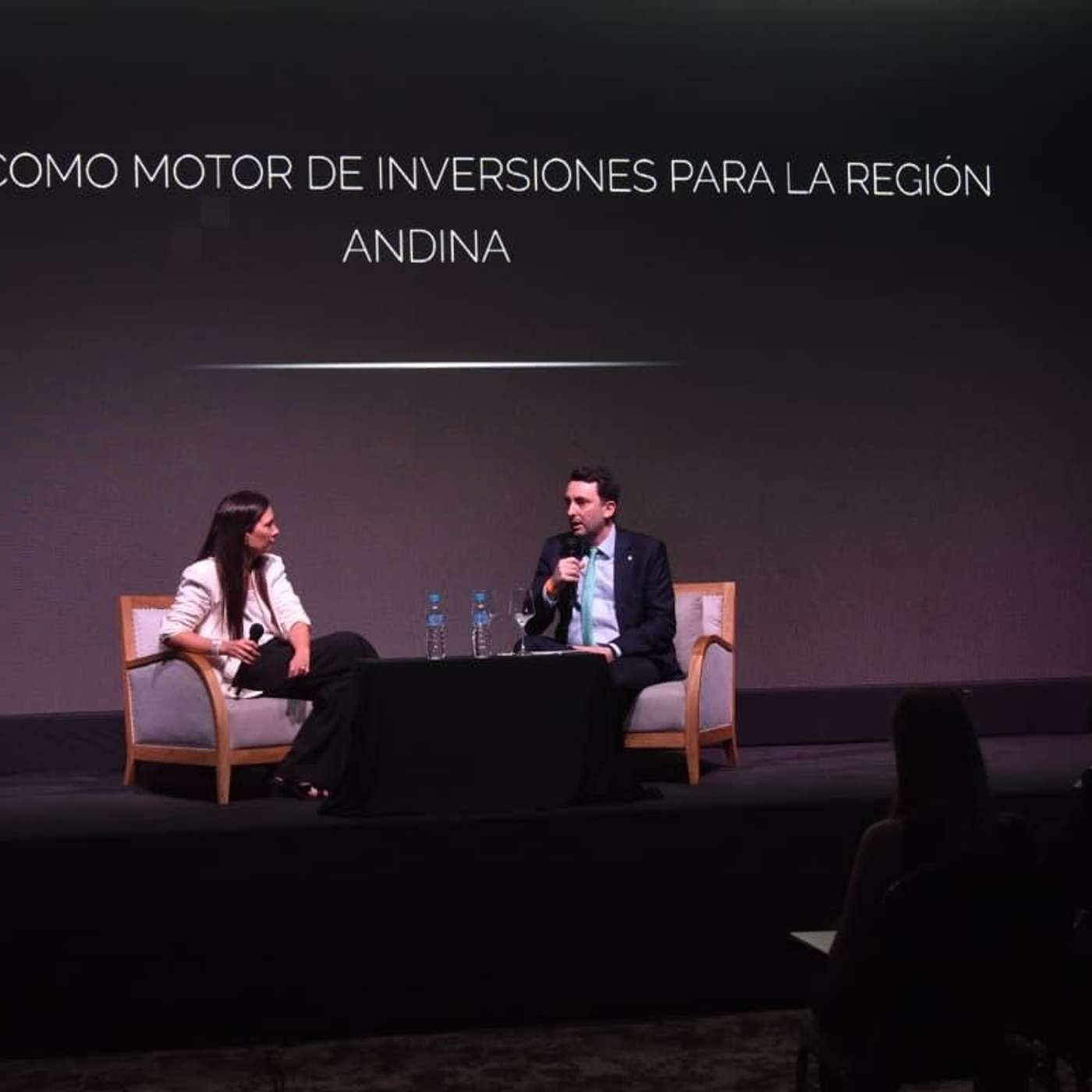 Stampalija: "El RIGI es el motor para las inversiones en la región Andina"