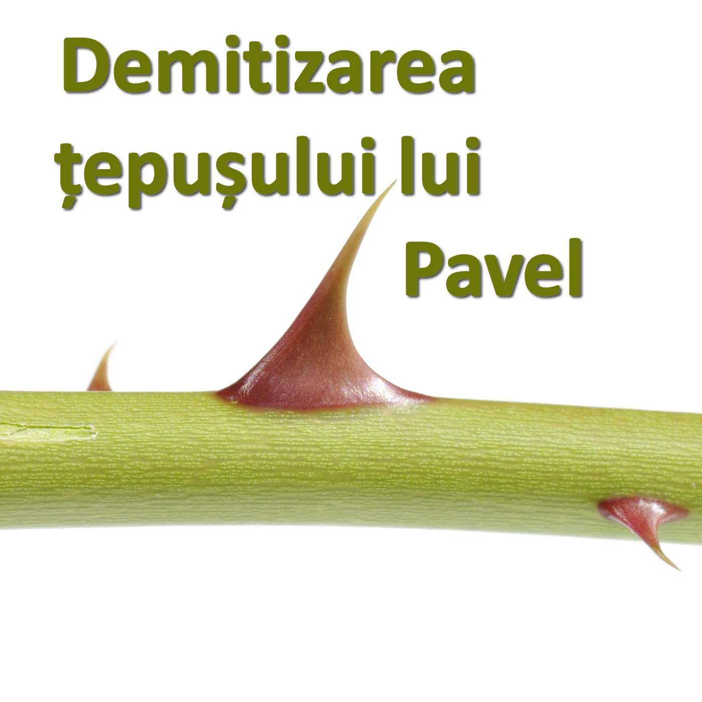Demitizarea țepușului lui Pavel (Mesaje individuale) episode artwork
