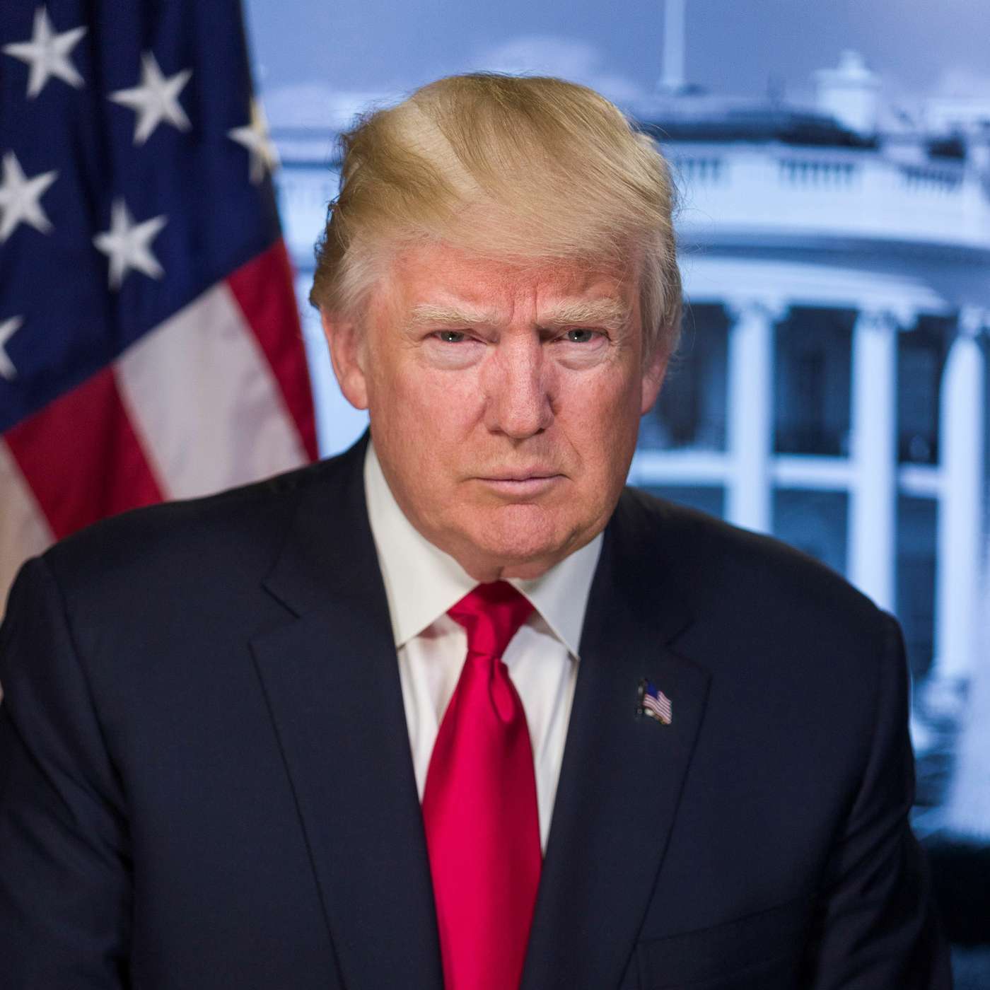 Trump erklærer nasjonal krise episode artwork