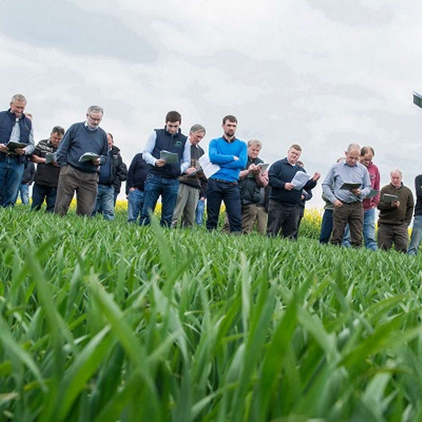 Upskilling will pay benefits