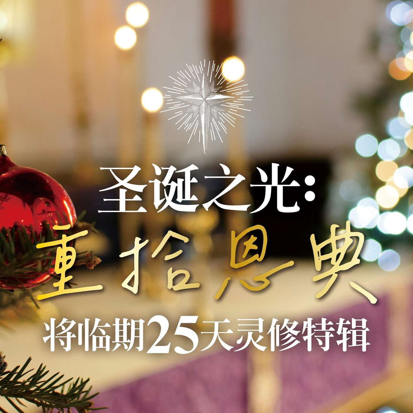 圣诞之光：Day 23 等候中的盼望与丰盛 episode artwork