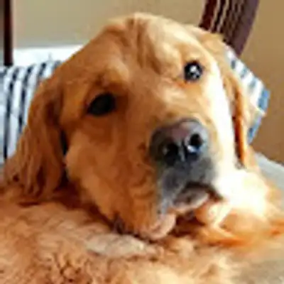 image of podcast supporter