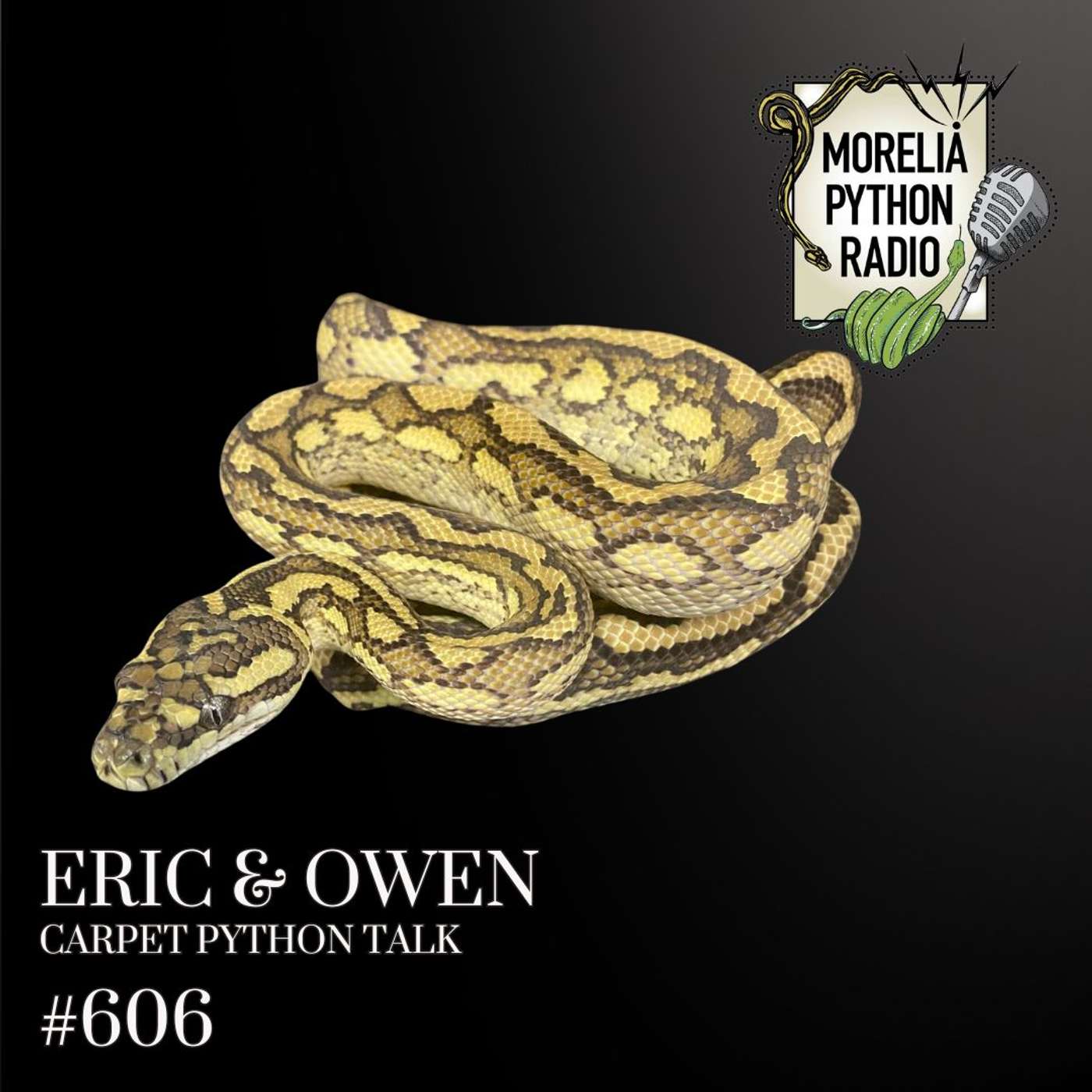 Play Eric & Owen Carpet Python Talk