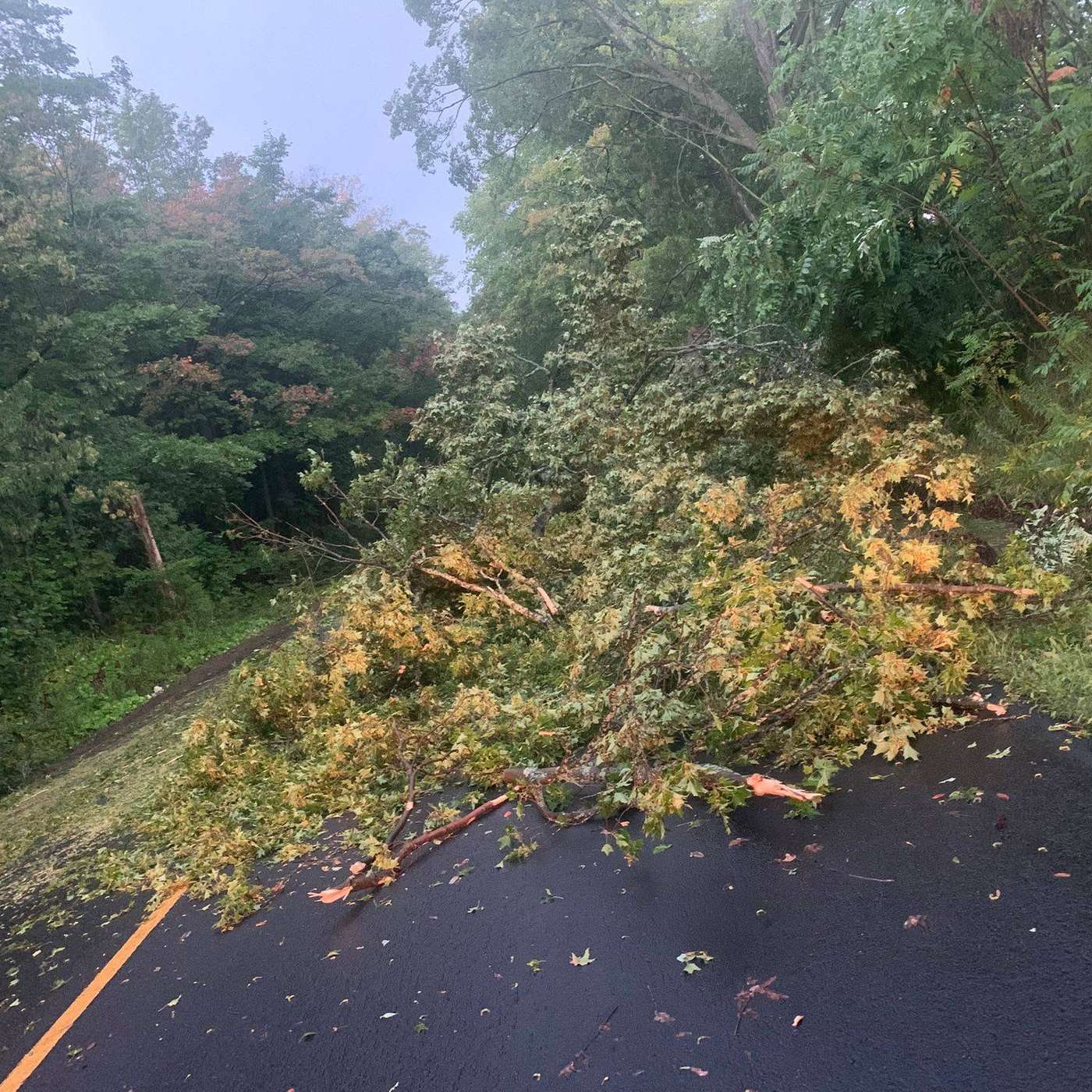 Town of Caledon teams assessing storm damage episode artwork